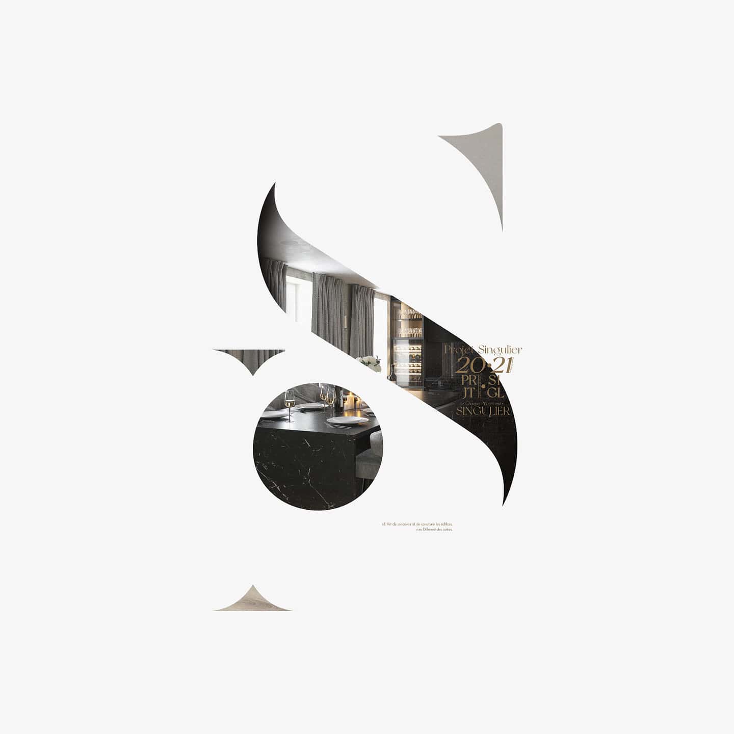 Projet Singulier logo Architecte